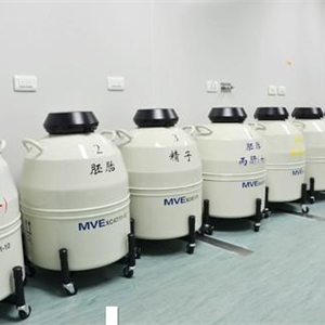 美国查特MVE XC47/11-6SQ型号进口液氮罐