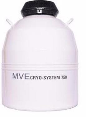 MVE进口细胞样本罐CryoSystem750